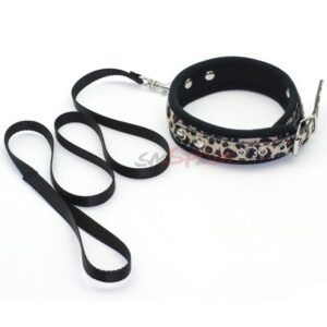 Leopard Print Collar & Leash
