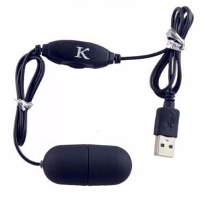 USB Vibrating Love Egg
